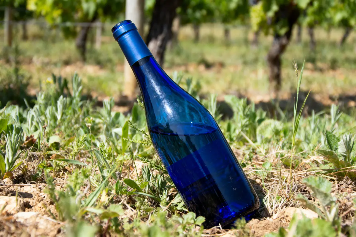 Bouteille bleue en verre posée au sol, entourée d'herbes, dans un vignoble ensoleillé.