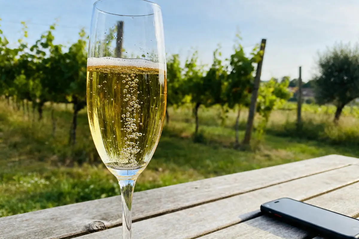 Verre de Champagne Blanc de Blancs pétillant au vignoble en arrière-plan sur table en bois