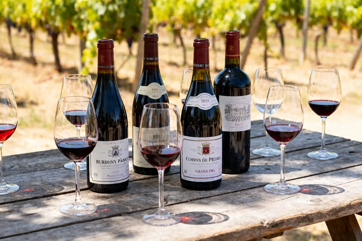 Bouteilles et verres de vins de Bourgogne sur une table en bois dans un vignoble
