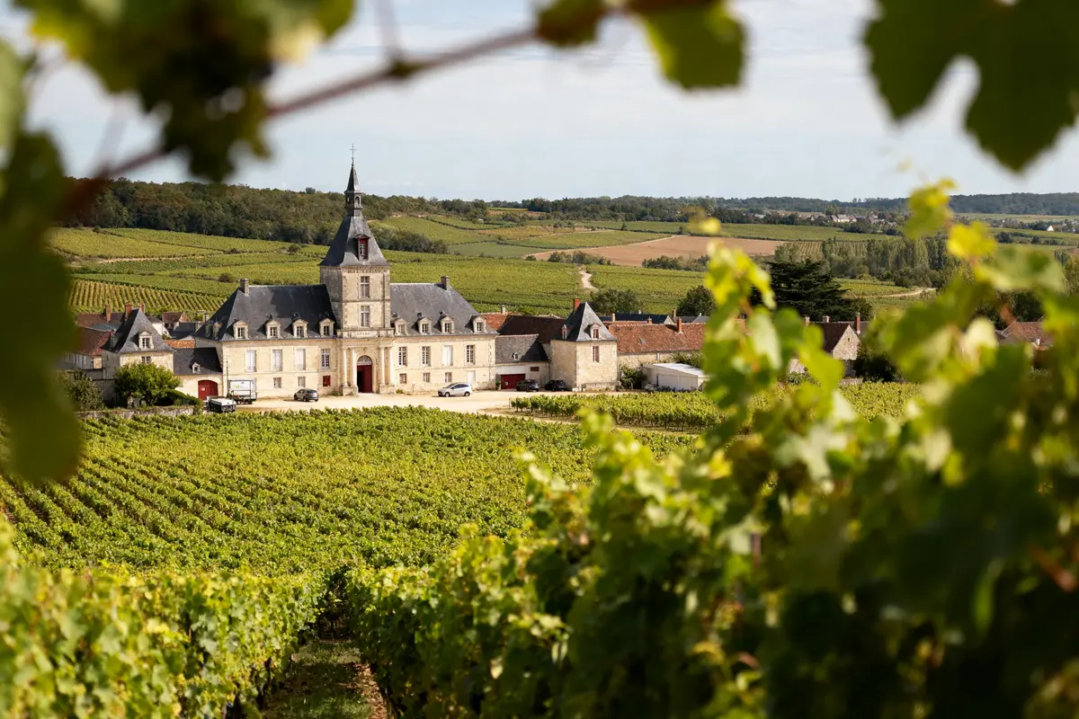 Mercurey : guide complet des vins, tourisme et visites