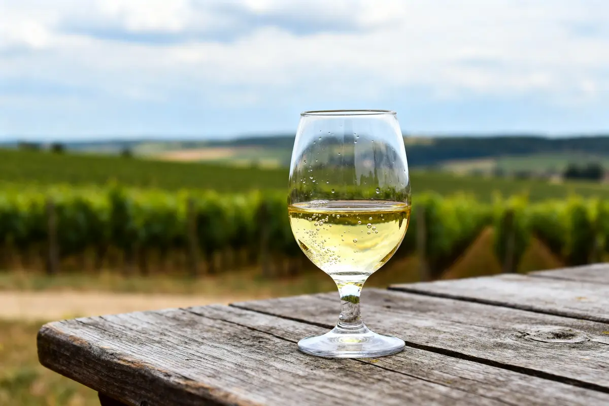 Verre de petit chablis sur une table avec vignoble en arrière-plan