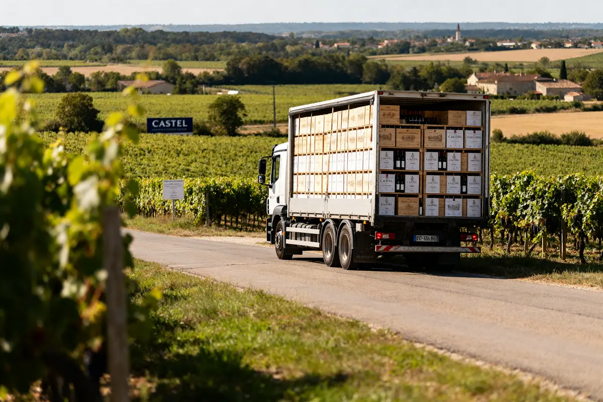 Plus gros négociants en vin de France : Qui sont-ils ?
